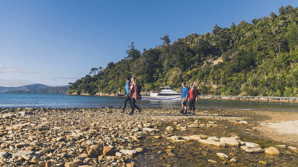 Four people walking on the beach at Ship Cove/Meretoto with a Cougar Line boat in the Marlborough Sounds, New Zealand.