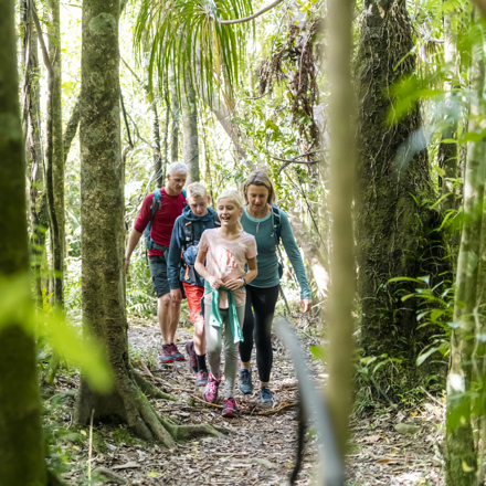 Four people walk through native bush on the northern Queen Charlotte Track in the Marlborough Sounds, New Zealand.