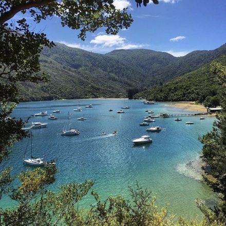 An aerial view of a Cougar Line boat and wake as it cruises through Queen Charlotte Sound/Tōtaranui in the Marlborough Sounds, New Zealand.