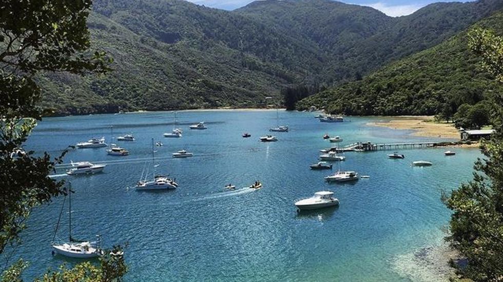 An aerial view of a Cougar Line boat and wake as it cruises through Queen Charlotte Sound/Tōtaranui in the Marlborough Sounds, New Zealand.