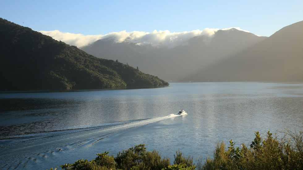 A Cougar Line boat leaves a wake in the calm water as it cruises through the Marlborough Sounds, New Zealand.