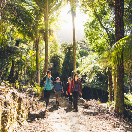 Four people walk on the northern Queen Charlotte Track in the Marlborough Sounds, New Zealand.