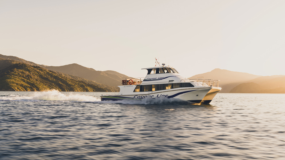 A Cougar Line boat cruises through the Marlborough Sounds under an orange sky before sunset, New Zealand.