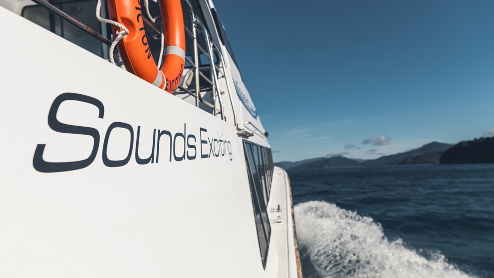 The side of Cougar Line's Sounds Exciting boat shows the boat's name, above the wake as it cruises through the Marlborough Sounds on a sunny day in New Zealand