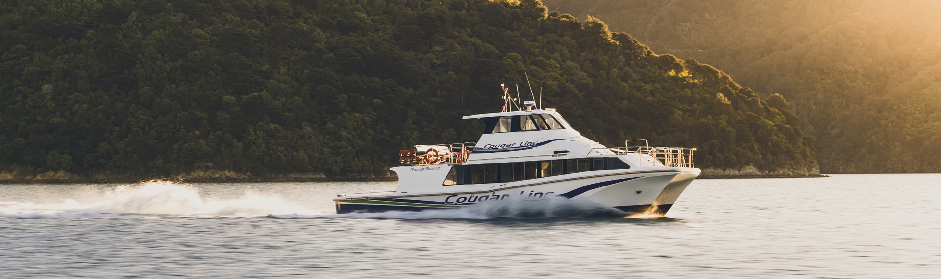 Boat cruises through the Marlborough Sounds at sunset, New Zealand.