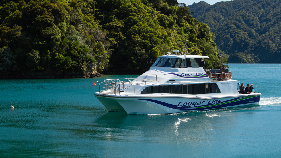 A Cougar Line boat with passengers onboard cruises into a calm bay in the Queen Charlotte Sound/Tōtaranui, Marlborough Sounds, New Zealand.