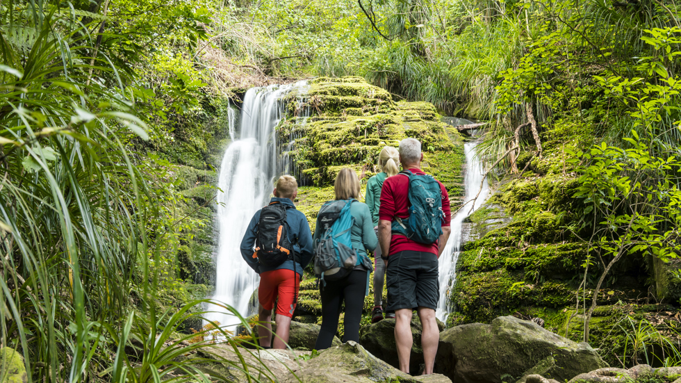 A family of four look at the waterfall at Ship Cove/Meretoto in the outer Queen Charlotte Sound/Tōtaranui, Marlborough Sounds, New Zealand.